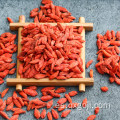 Venta caliente wolfberry / goji bayas para bajar de peso